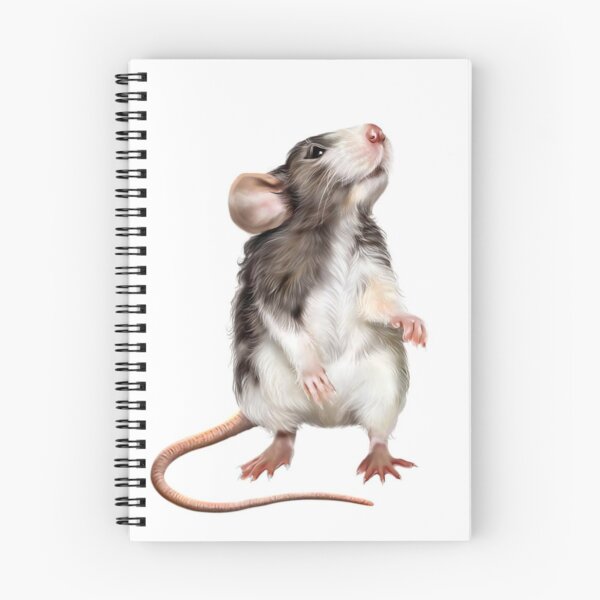 Aperçu de l'œuvre Mignon rat des bois créée et vendue par HaleyRedshaw.