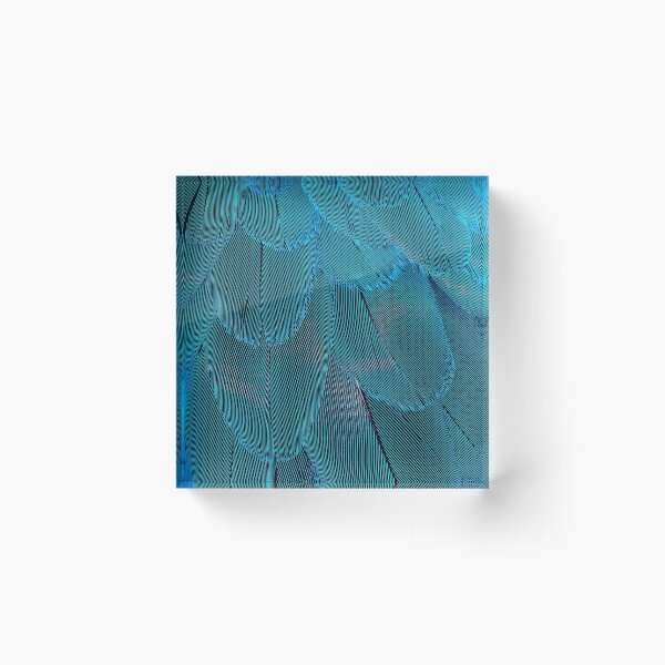 Item preview, Turquoise Blue Feathers designed and sold by newburyboutique.