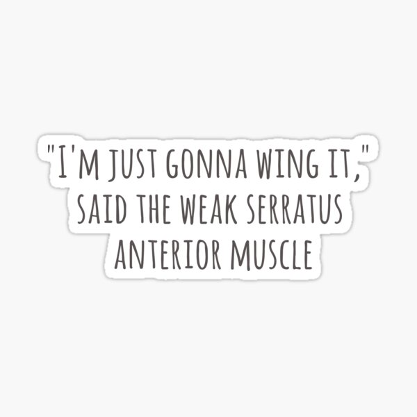 Item preview, Serratus Anterior - Wing It designed and sold by kate-with-a-k.