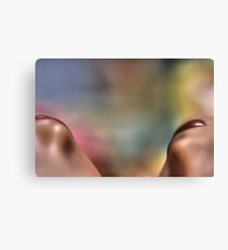 Don't even think about it you pervert... Canvas Print