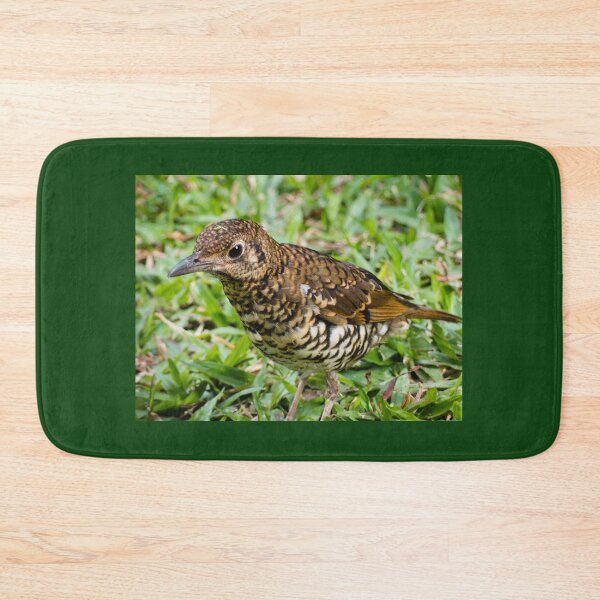 Item preview, Bassian Thrush designed and sold by Connie Pinson.