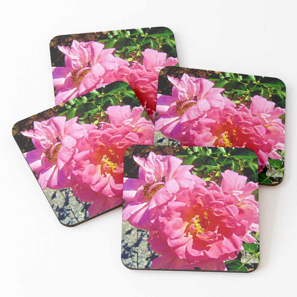 Item preview, Coasters (Set of 4) designed and sold by Shulie1.