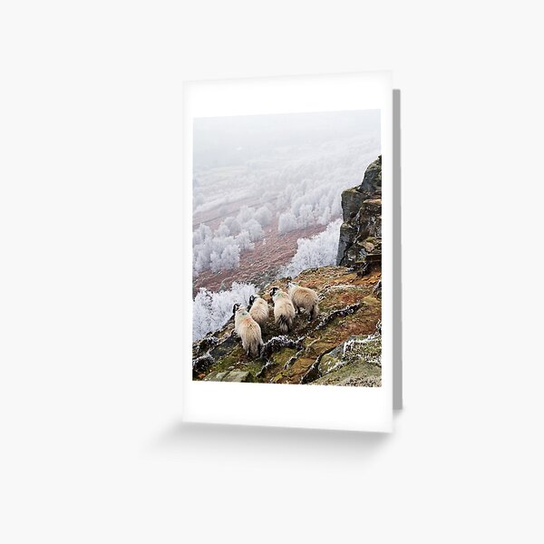 Frosty Morn Greeting Card