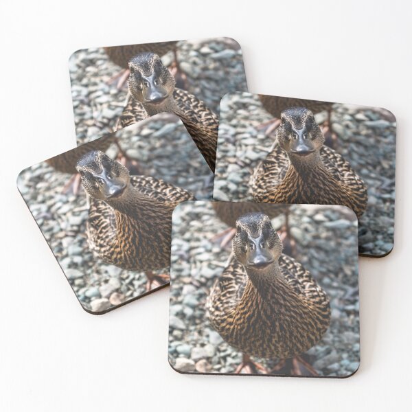 Item preview, Nosey Duck designed and sold by Jay Mayne.