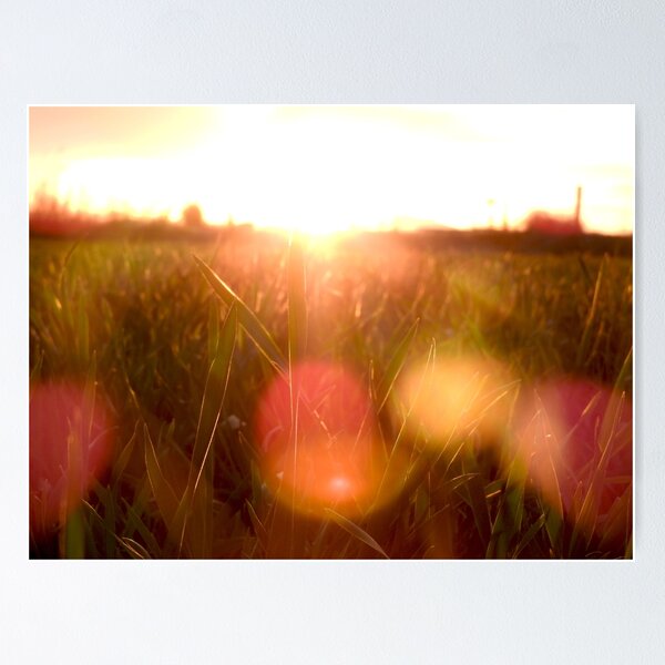 Item preview, sunset in a field of grain designed and sold by Stephanie  Skeem.