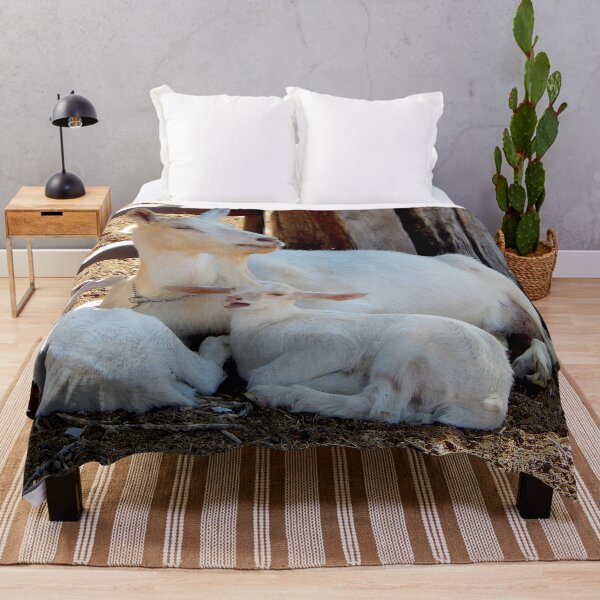 Item preview, white baby goat yawning designed and sold by Stephanie Skeem.