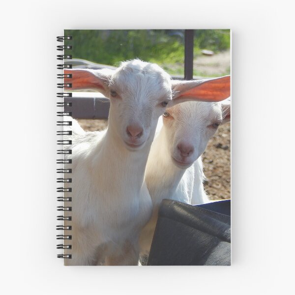 Item preview, Long ears, goat ears, funny ears, all ears designed and sold by Stephanie  Skeem.