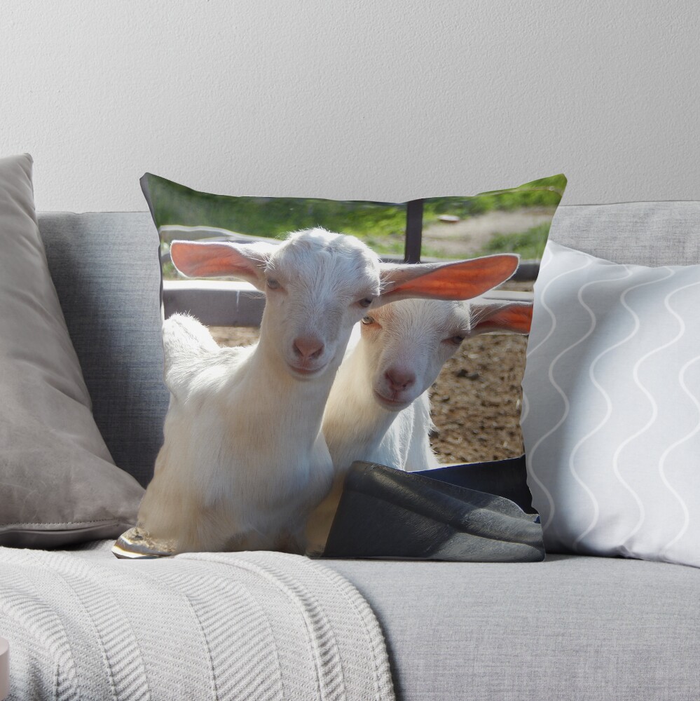 Goat pillow outlet case