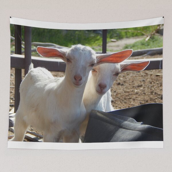 Item preview, Long ears, goat ears, funny ears, all ears designed and sold by Stephanie  Skeem.