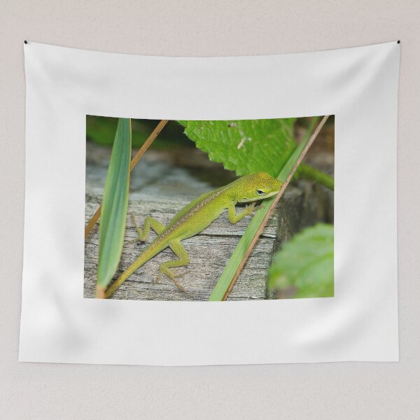 Item preview, Whatcha Doin Lady designed and sold by Brenda Burnett.