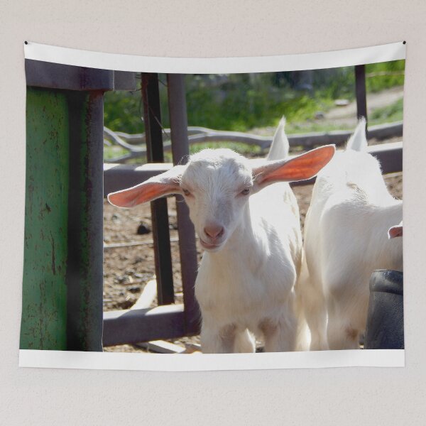 Item preview, funny goat ears, baby goats designed and sold by Stephanie  Skeem.