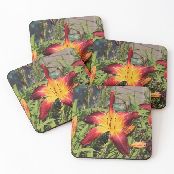Item preview, Starting Over designed and sold by Michiale.