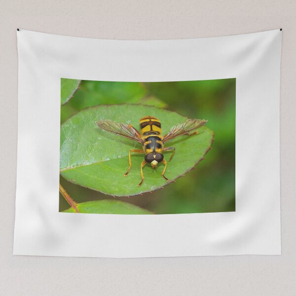 Item preview, Good News, Good News designed and sold by Brenda Burnett.