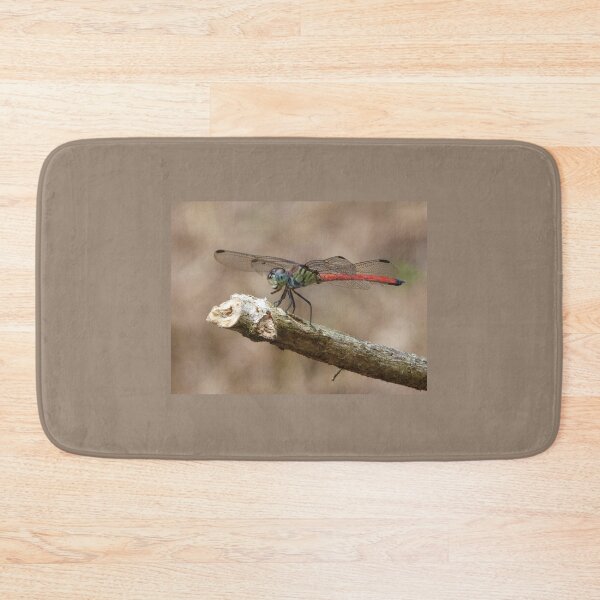 Item preview, Australasian Slimwing Dragonfly resting. designed and sold by Connie Pinson.