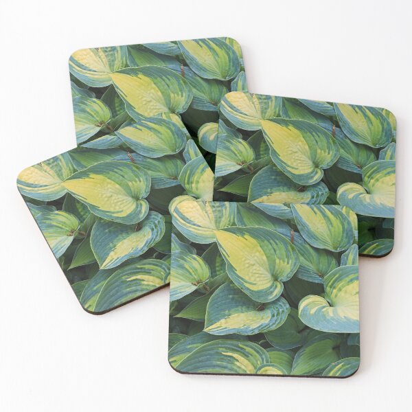 Item preview, Hostas in Geneva designed and sold by Michiale.