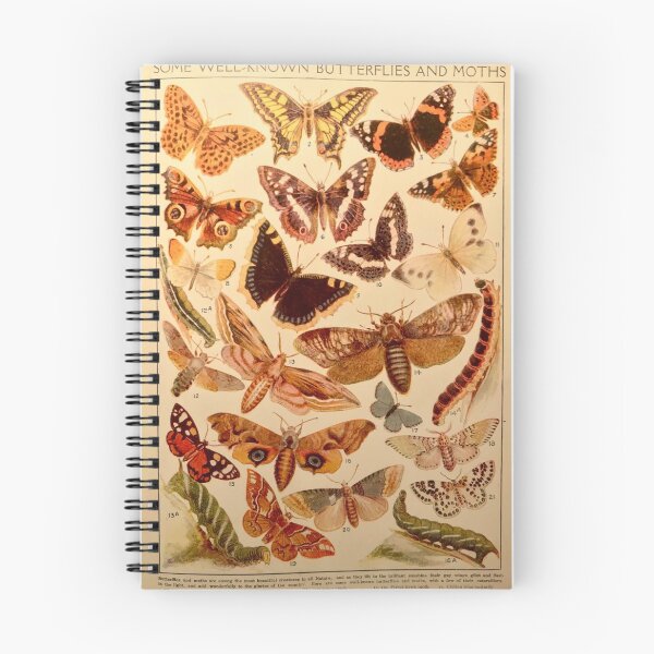 Item preview, Vintage Insects 1 designed and sold by Clarissa Sharp.