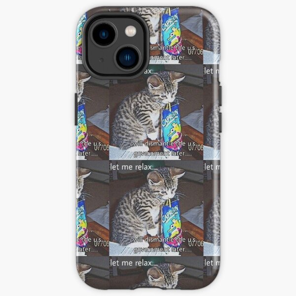 government phone cases