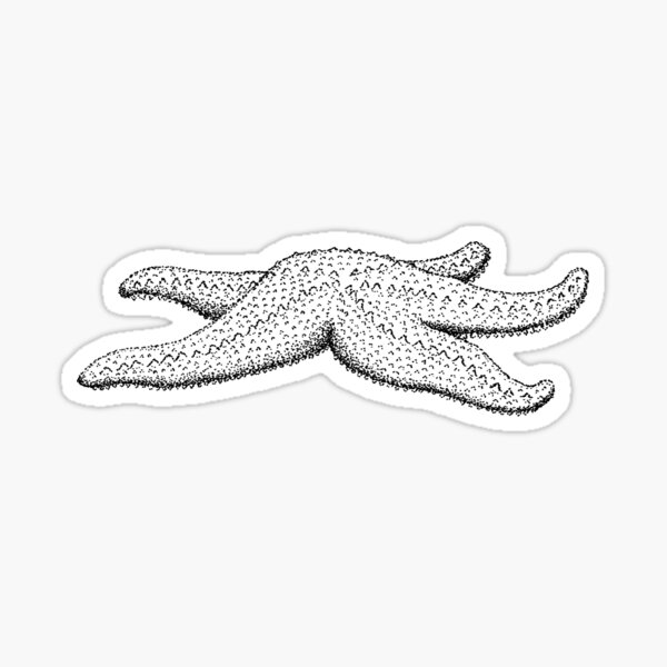 Item preview, starfish designed and sold by cam-graphics.