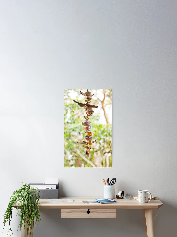 Thumbnail 2 of 3, Poster, 'Shells' designed and sold by RDDesign.