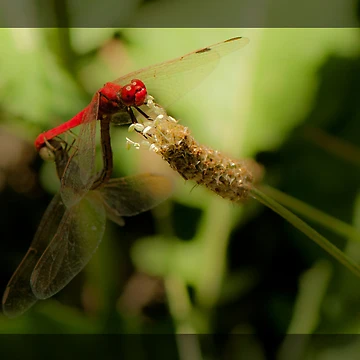 Artwork thumbnail, Hitching A Ride by Andrew Prince