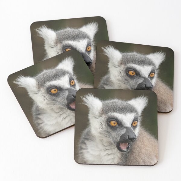 Item preview, What The?? Ring-Tailed Lemur designed and sold by Andrew Goodall.