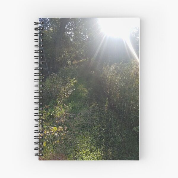 Item preview, Sunflare designed and sold by GoodtimeGambler.