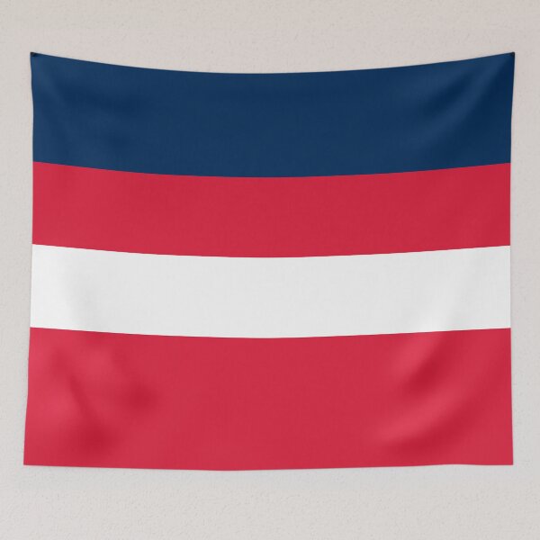 Item preview, Washington DC Basketball City Background Design designed and sold by sportsign.