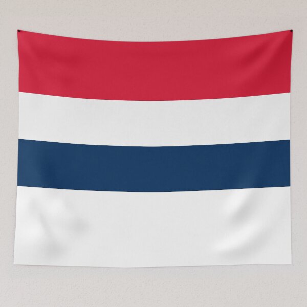 Item preview, Washington DC Basketball City Background Design designed and sold by sportsign.