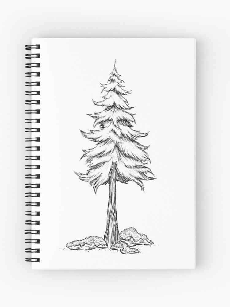 Tree illustrations for Better Place Forests :: Behance