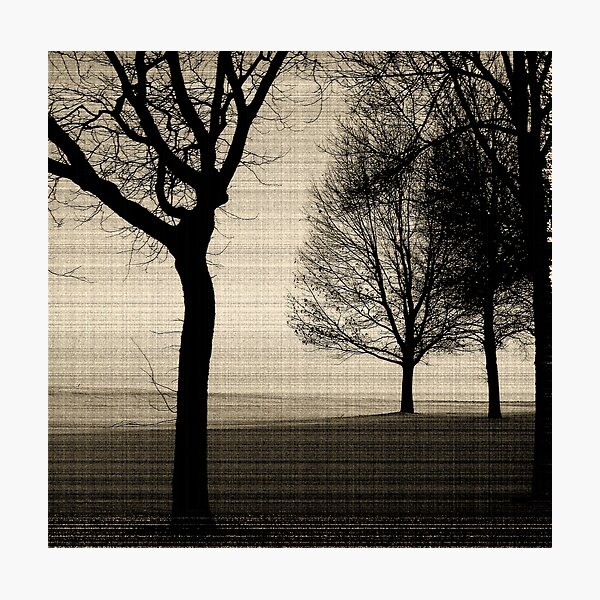 Item preview, Silhouette Trees on a woven sepia background designed and sold by WatersEdgeGal.