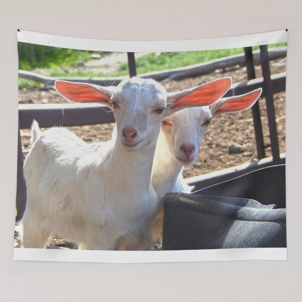 Item preview, Big ears, baby goats designed and sold by Stephanie  Skeem.
