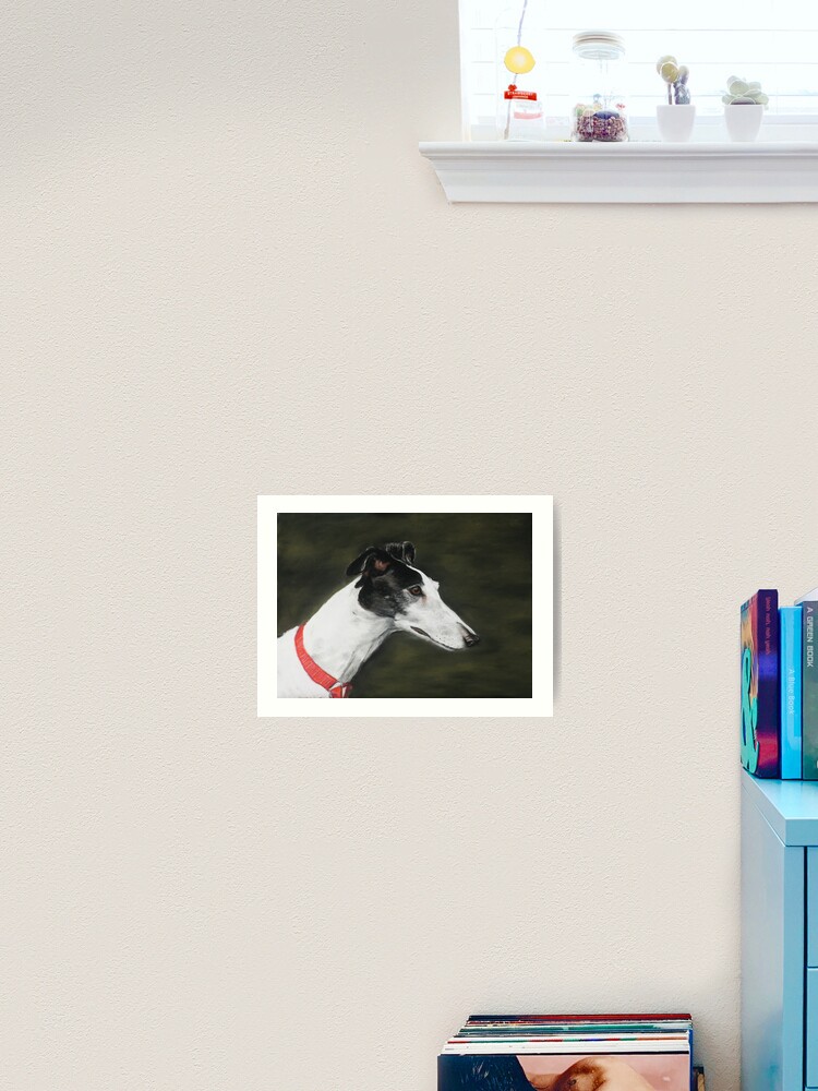 Framed Print Adorable Sleeping Greyhound Black & White Picture Poster Dog Art 