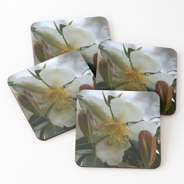 Item preview, A Garden in the Hills Set 2- 07 designed and sold by beeden.