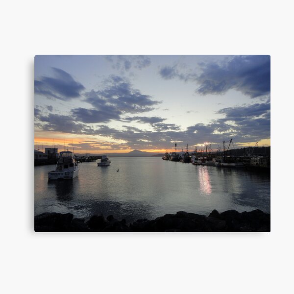 Stillness Canvas Print