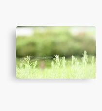 bound together - botanic gardens Metal Print