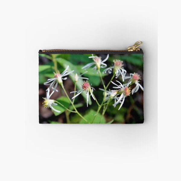 Item preview, Whorled Wood Aster designed and sold by Kathleen Daley.