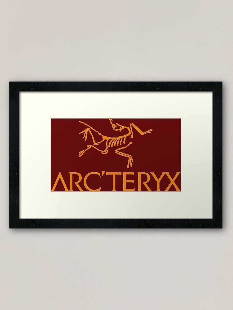 art teryx