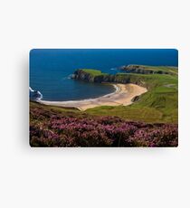 silver strand Canvas Print