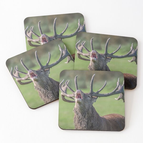 Item preview, Red deer stag bellowing designed and sold by alan tunnicliffe.