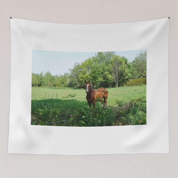 Item preview, Horse in the pasture designed and sold by SusiMalt.