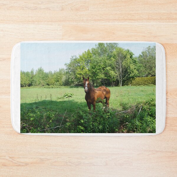 Item preview, Horse in the pasture designed and sold by SusiMalt.