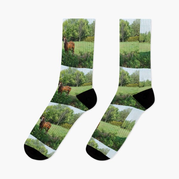 Item preview, Horse in the pasture designed and sold by SusiMalt.