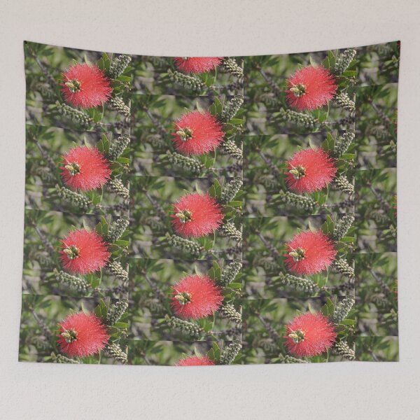 Item preview, Native Bottlebrush Flower designed and sold by MaureenBoyle.