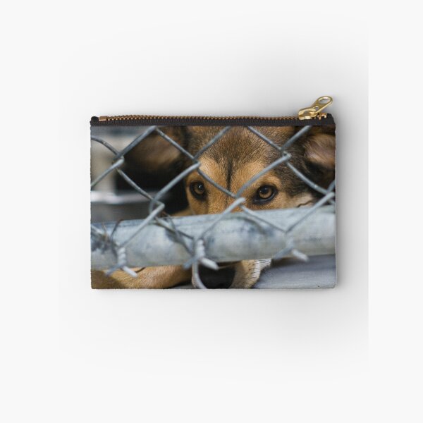 Item preview, bat eared dog designed and sold by Peter McConvill.