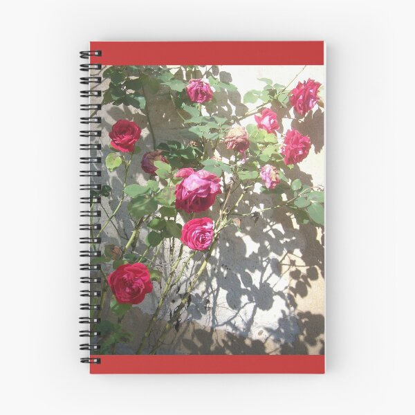 Artikelvorschau, Rote kletternde Rosen entworfen und verkauft von MaureenBoyle.