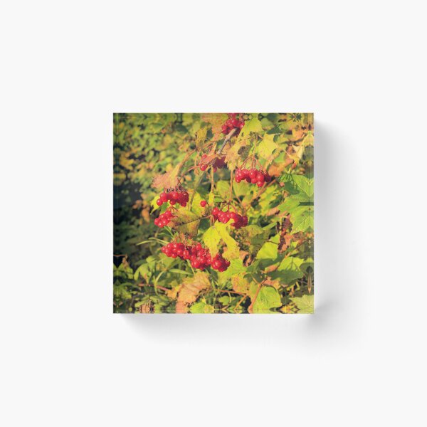 Item preview, Fall Berries designed and sold by LynyrdSky.