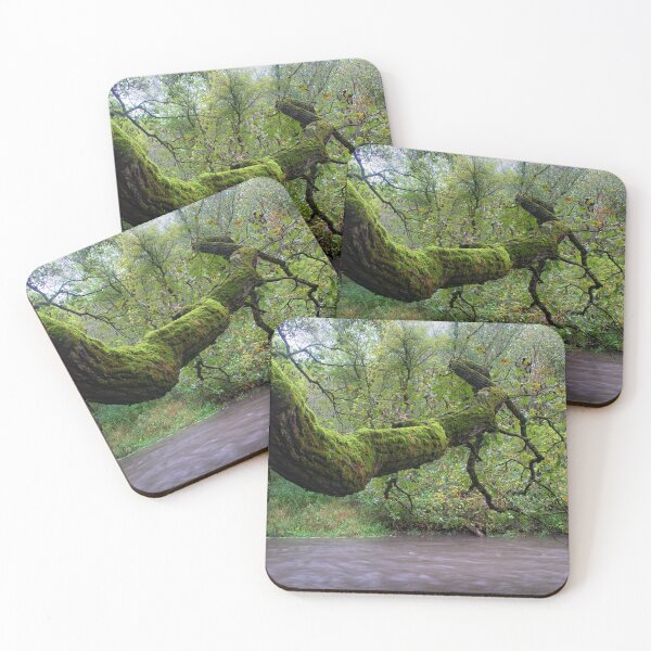 Item preview, Mossy Oak Limb designed and sold by LynyrdSky.