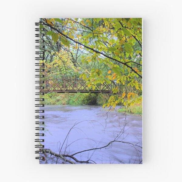 Item preview, Swollen Mayne's Creek designed and sold by LynyrdSky.