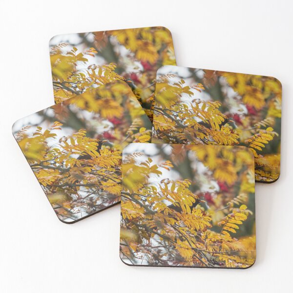 Item preview, It's there. Eurasian blackbird designed and sold by Jouko Lehto Photography.
