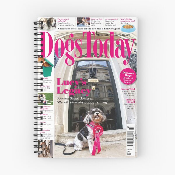 Item preview, Historic cover - Lucy's Law designed and sold by beemorebeardie.
